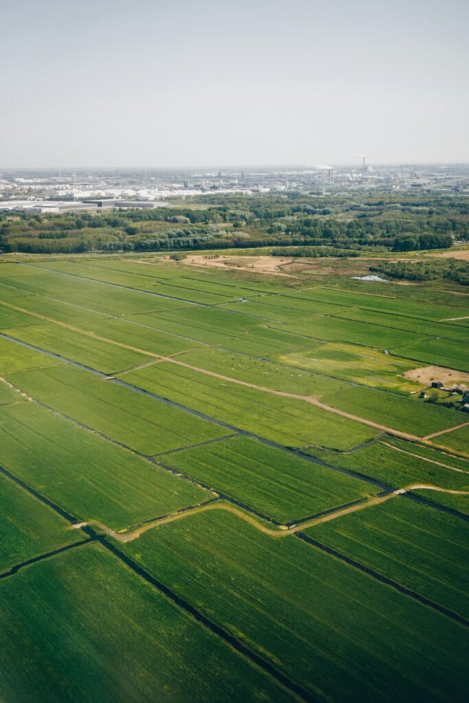 Aerial view of expansive green farmland in the Netherlands, showcasing lush fields under daylight.