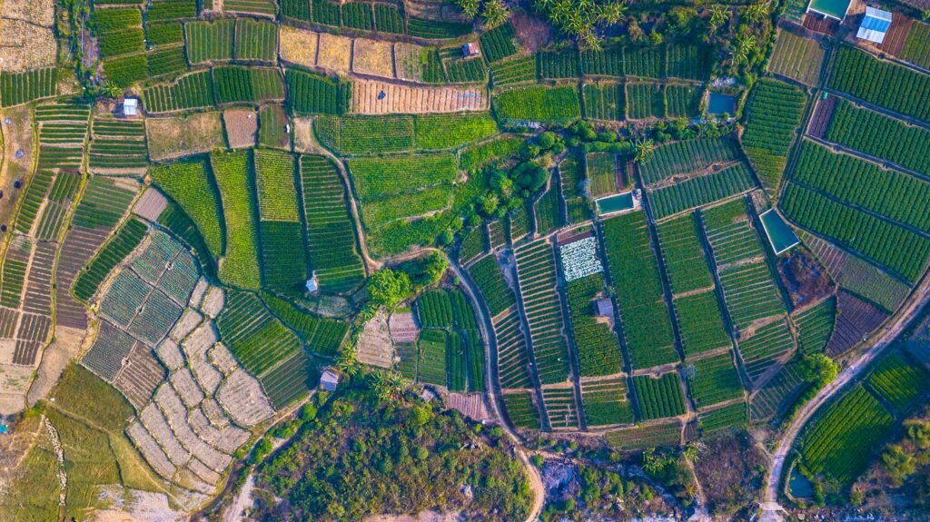 Colorful aerial view of structured agricultural farmland, showcasing diverse crop fields.