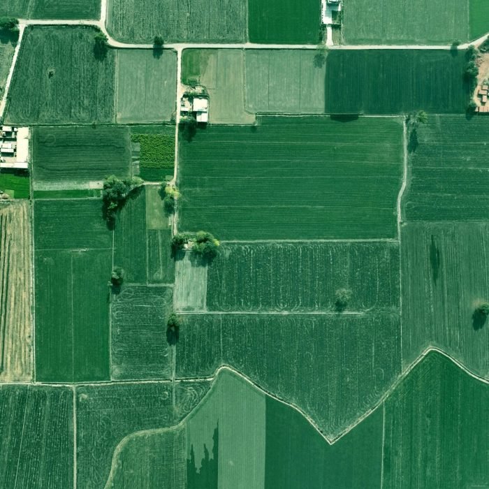 High-altitude shot of vast green agricultural fields showcasing rural farming patterns in Punjab.