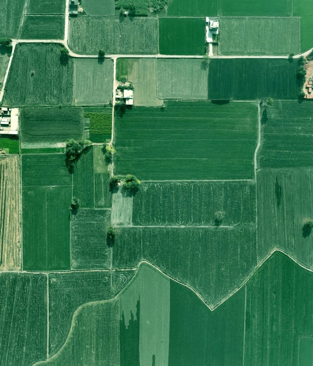 High-altitude shot of vast green agricultural fields showcasing rural farming patterns in Punjab.