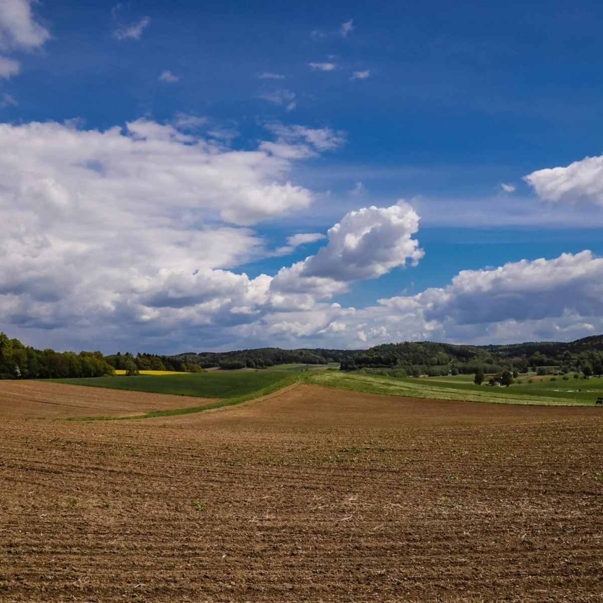 A tranquil rural landscape featuring green fields and an expansive blue sky with fluffy clouds.